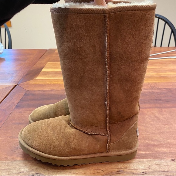 Tall Chestnut Ugg Boots NWOT - Picture 2 of 6